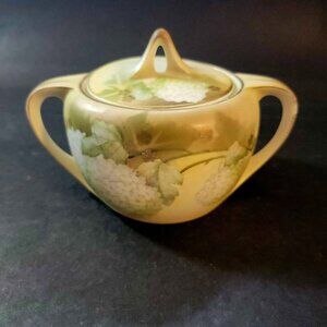 Vintage Porcelain Sugar Bowl with Lid from the German manufacturer R.S. Germany